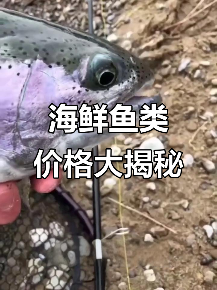 带你了解这些常见海鲜鱼的价格,从带鱼到翘嘴一网打尽