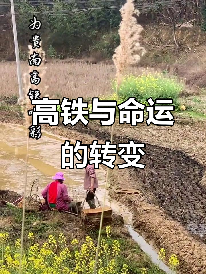 高铁如何改变命运?我的调研报告