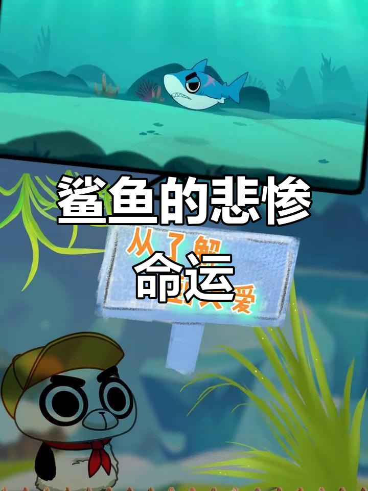 鲨鱼捕捞背后的惊人代价:每年七千万条生命被牺牲