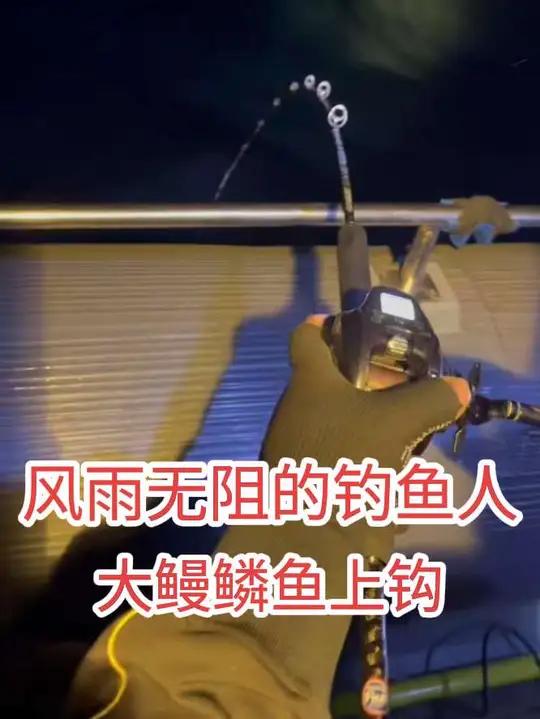 风雨无阻的钓鱼人大鳗鳞鱼上钩