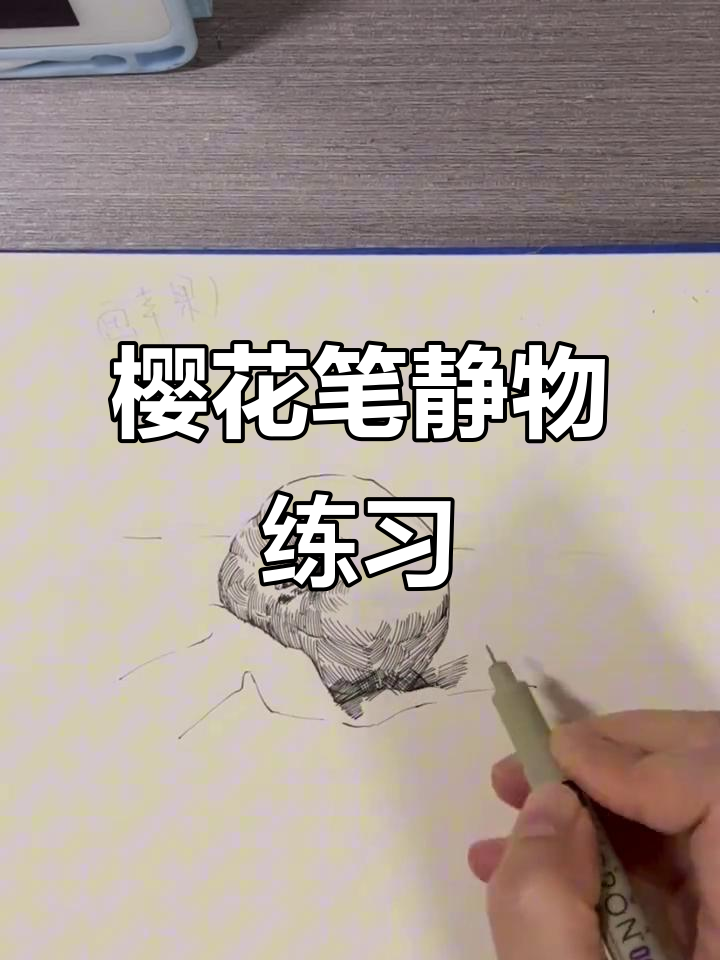 樱花笔袋与针管笔技巧:静物绘画入门
