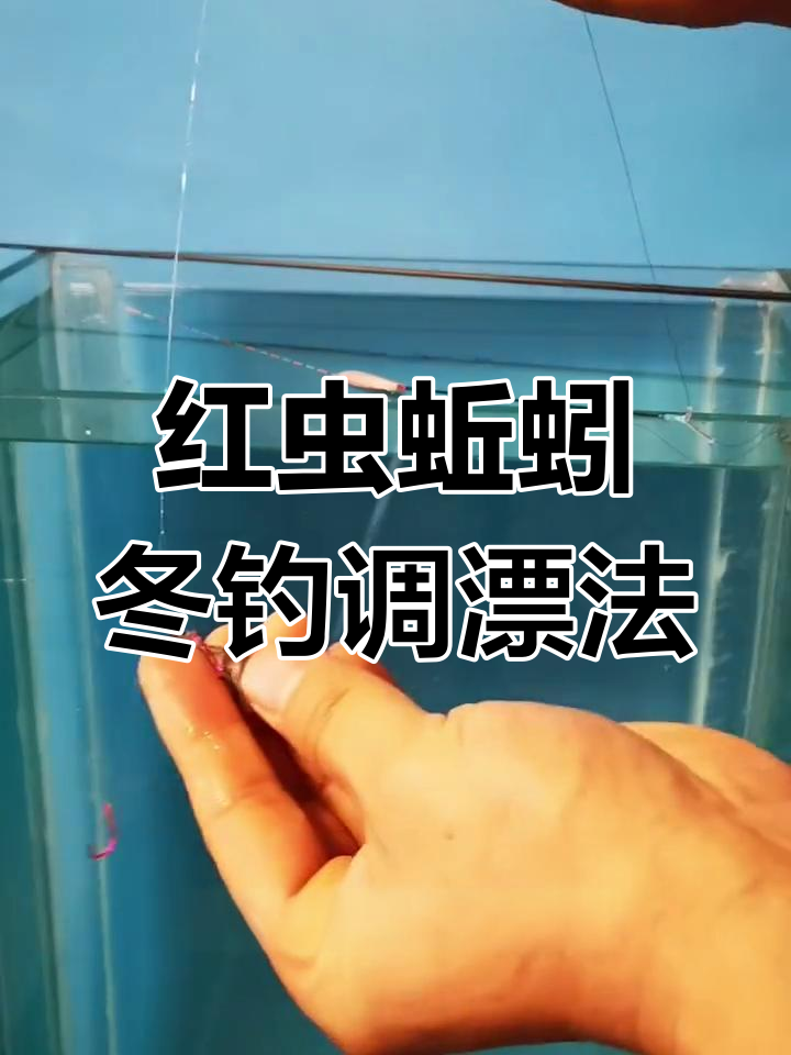 冬季钓鱼红虫蚯蚓调漂技巧,确保双钩到底