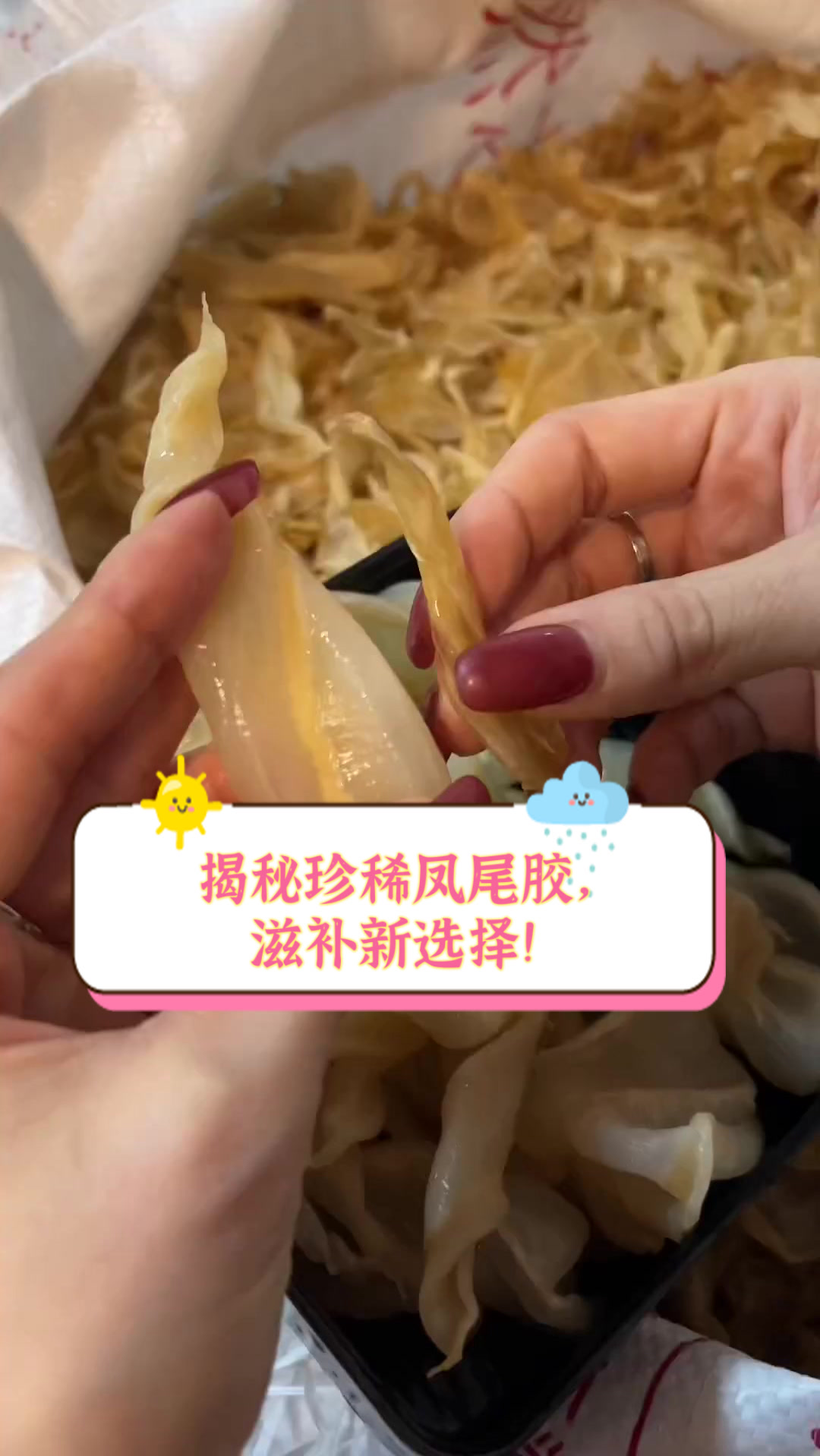 揭秘珍稀凤尾胶,滋补新选择!