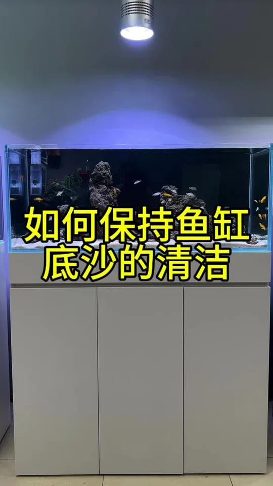 如何保持鱼缸底沙的清洁 如何保持鱼缸底沙的清洁 鱼缸造景 南美缸 造景 鱼缸里的大自然