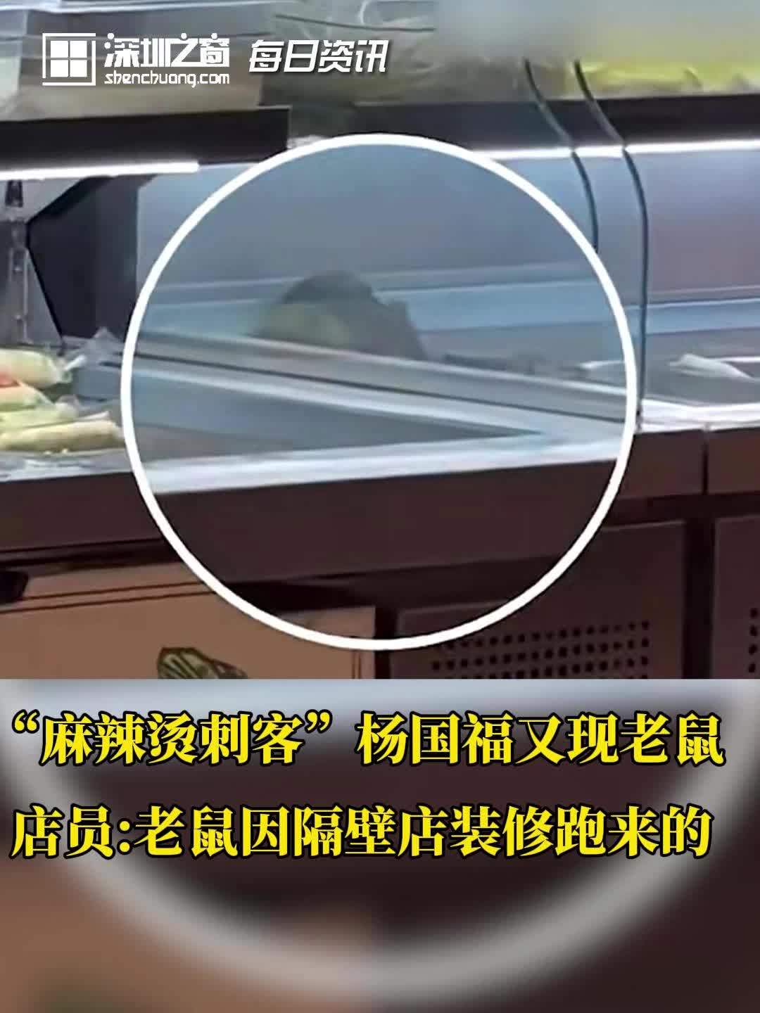 “麻辣烫刺客”杨国福又现老鼠,店员:老鼠因隔壁店装修跑来的