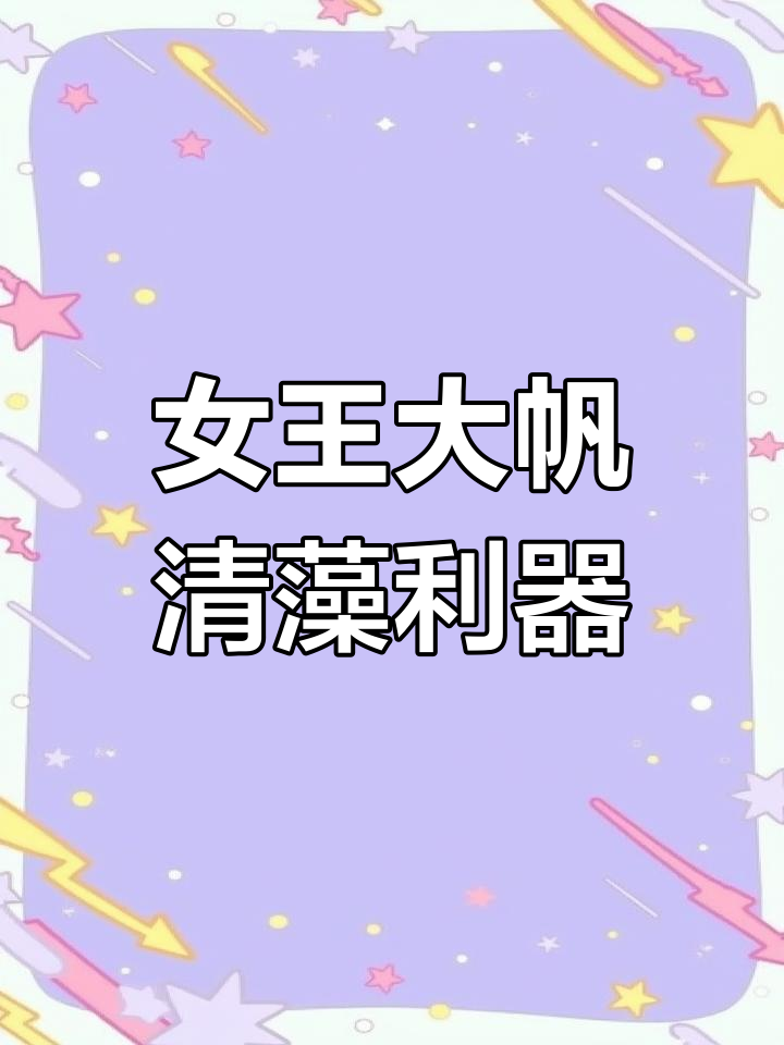 女王大帆工具鱼,轻松清理藻类