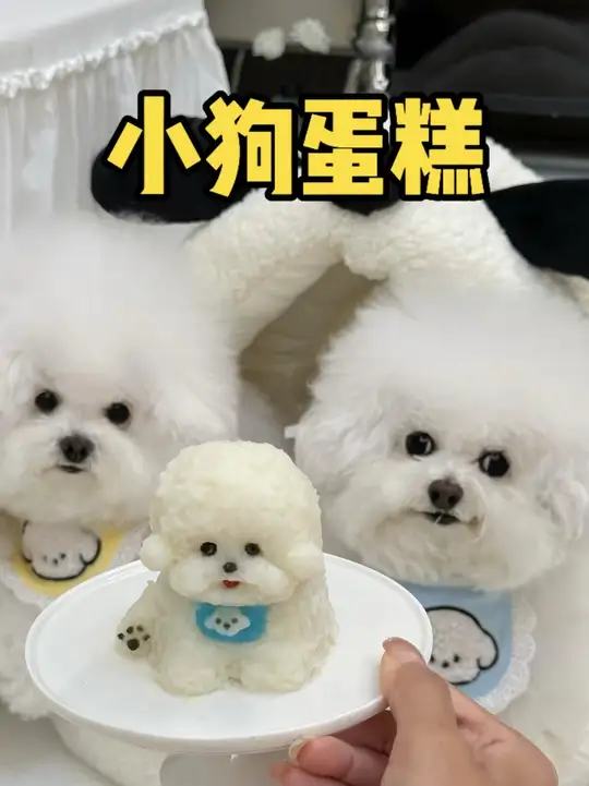 在家给小狗做了个小狗蛋糕～太可爱了～姐妹们你们要的四喜生日蛋糕教程来喽～