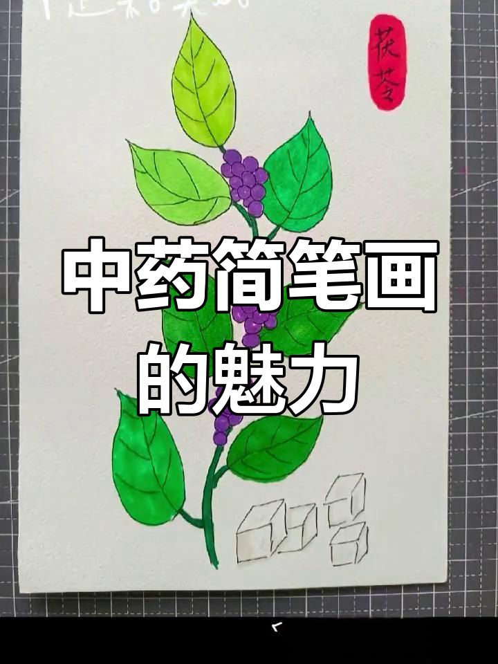 美丽中草药简笔画,带你走进自然与记忆的交织