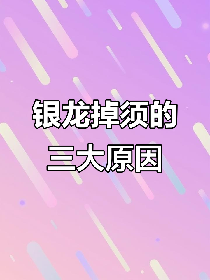 银龙鱼须子掉落原因分析,如何避免影响美观