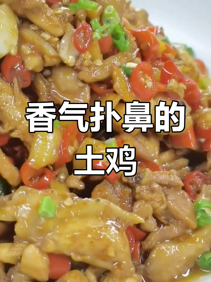 茶油炒土鸡,香辣入味,拌饭三碗停不下来!