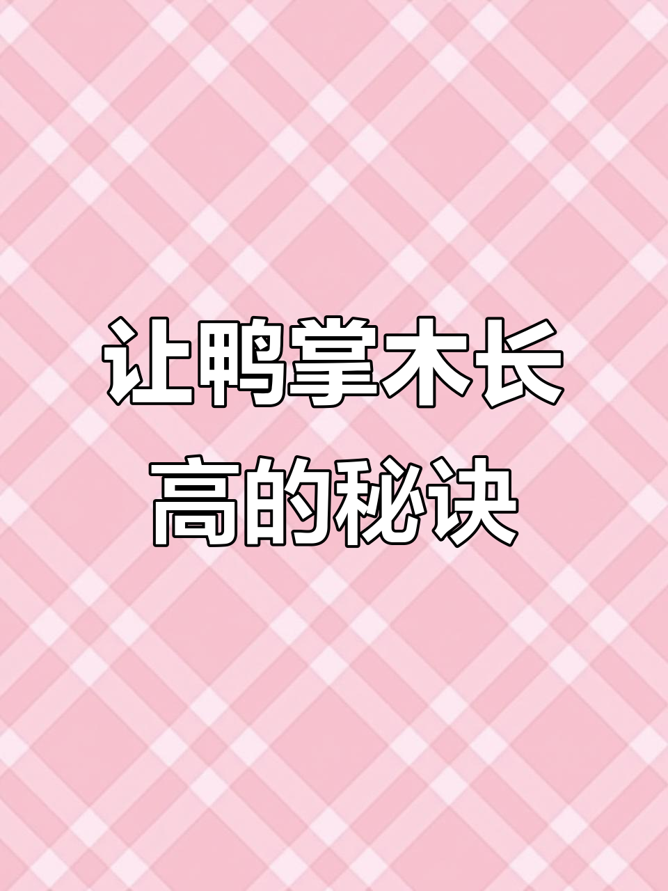 鸭掌木如何施肥才能长得更旺盛?这些方法你一定要知道
