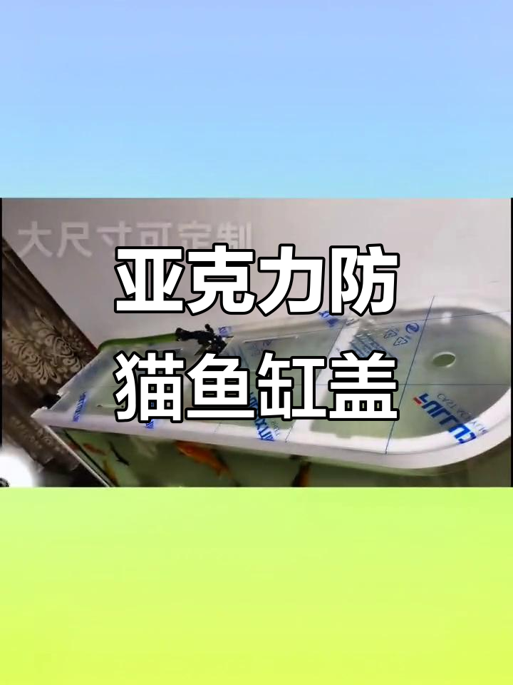 亚克力鱼缸防猫盖，透明网板设计防止跳跃