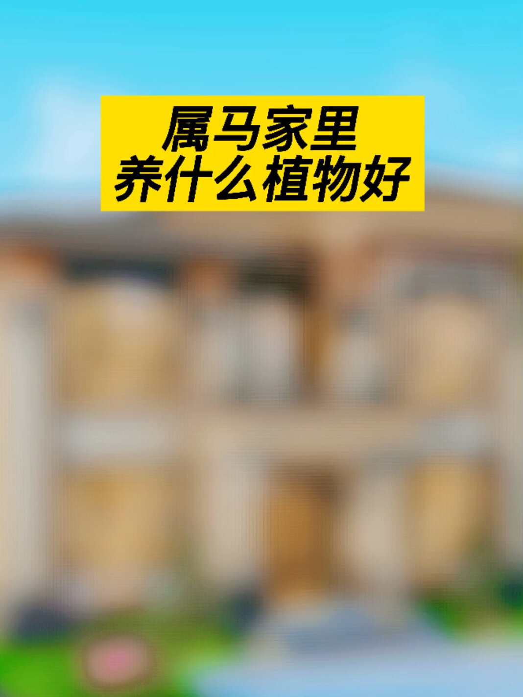 属马家里养什么植物好呢?