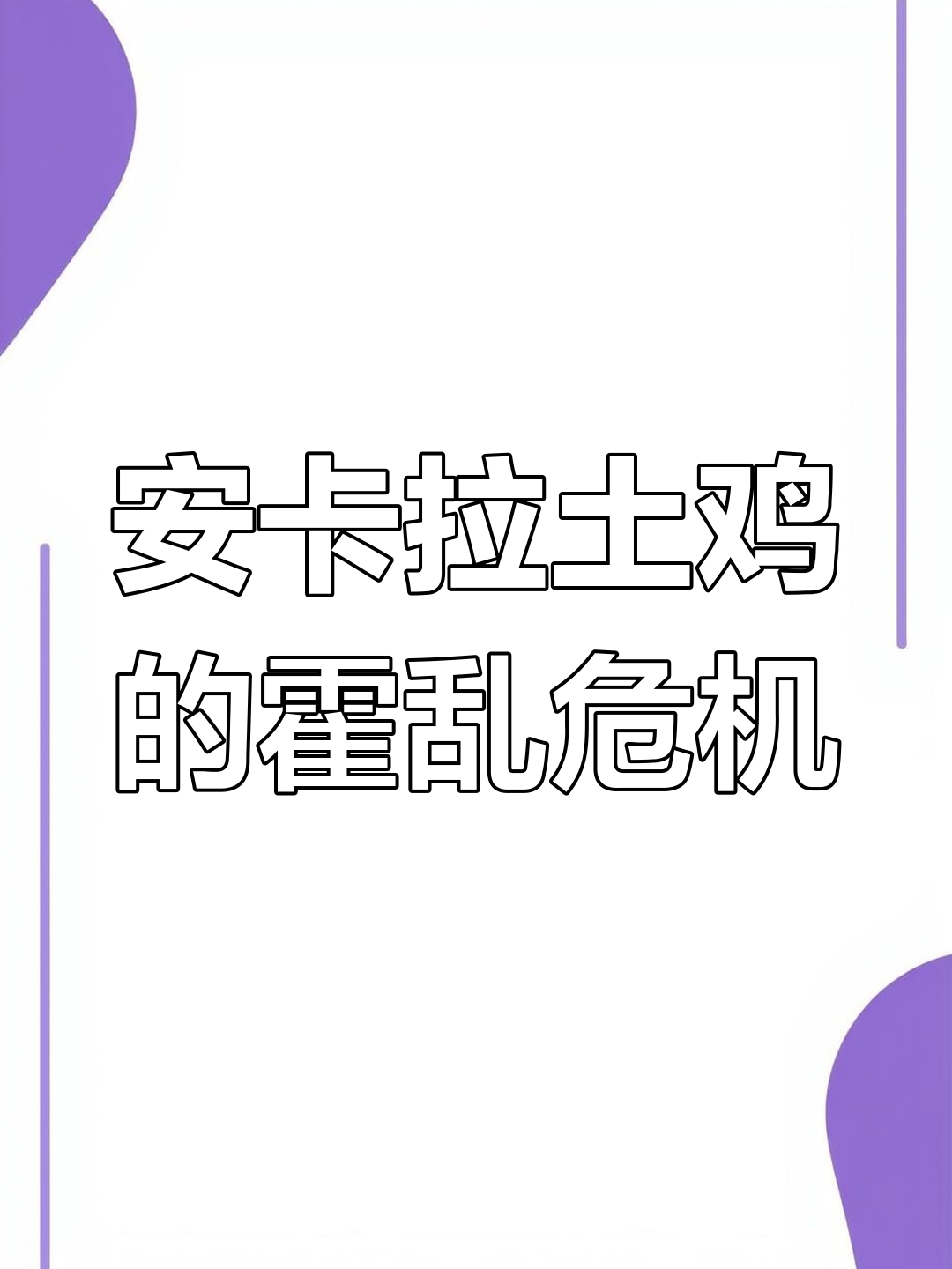 霍乱症状曝光,安卡拉土鸡如何应对?