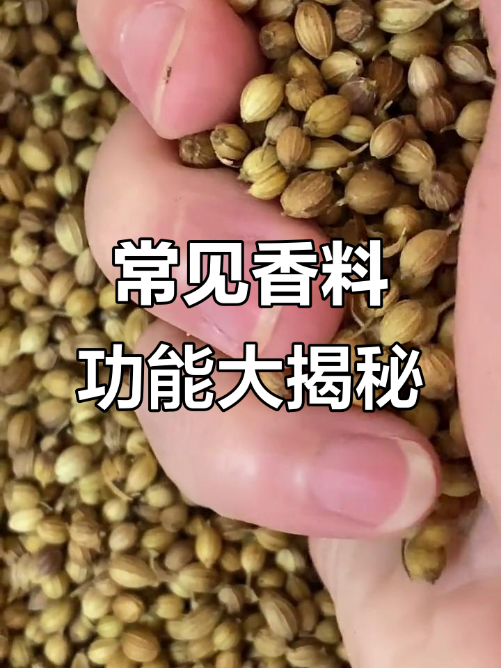 了解这些香料的作用,让卤肉更美味