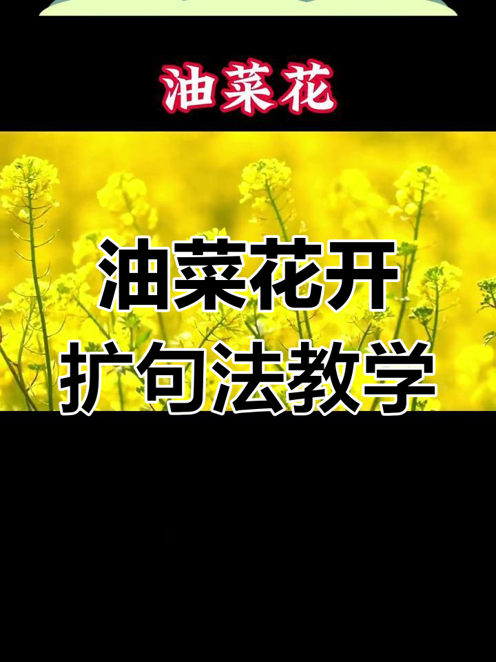 春天的油菜花,如何让作文更生动有趣?