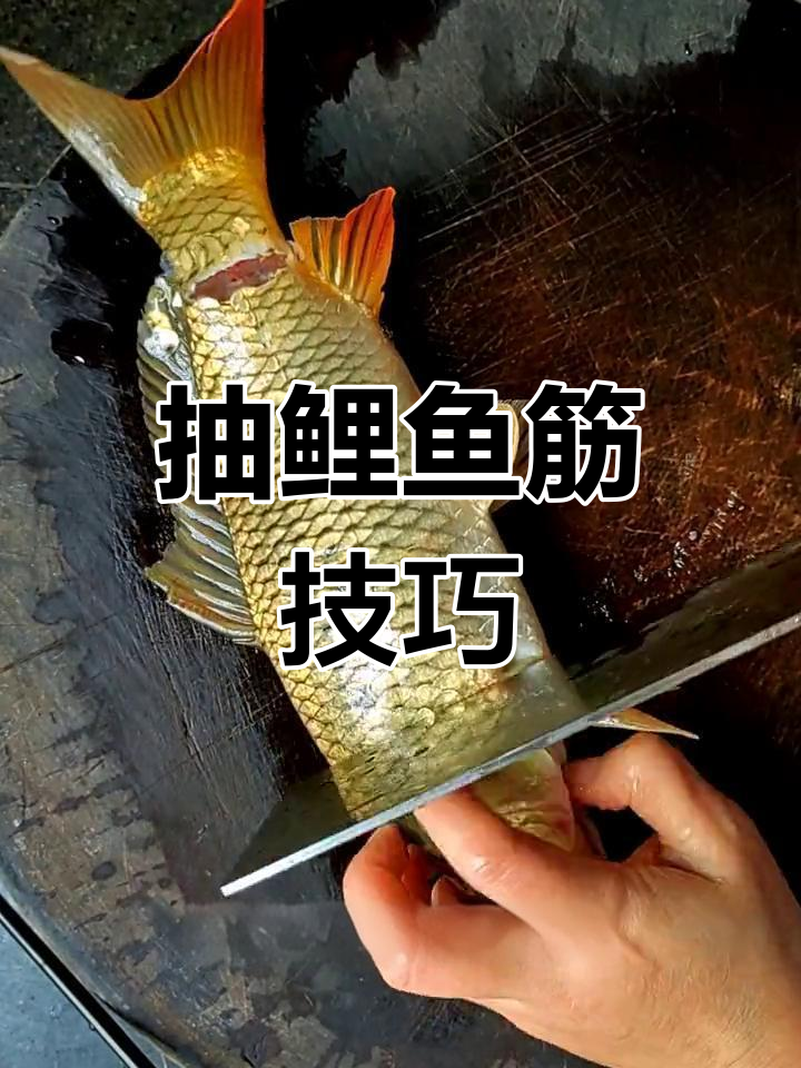 如何轻松去除鲤鱼筋