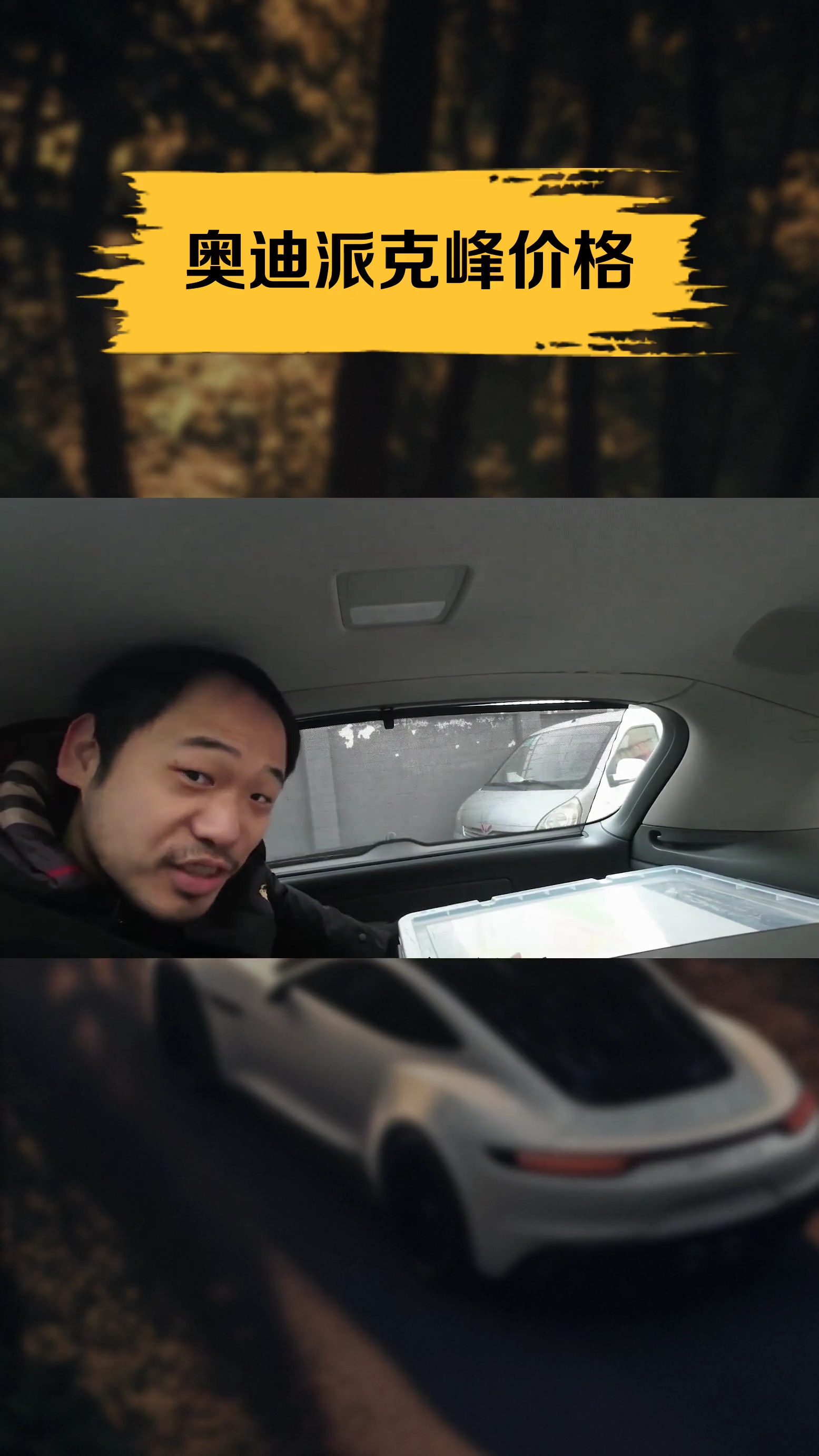 奥迪派克峰价格