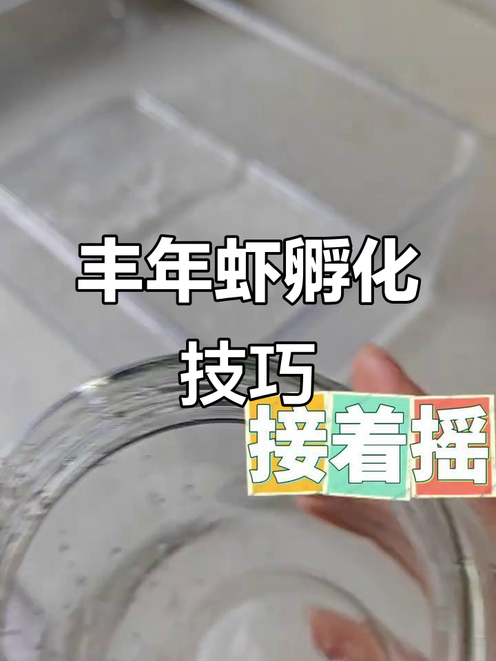 丰年虾孵化全攻略：从盐水到光照，轻松搞定
