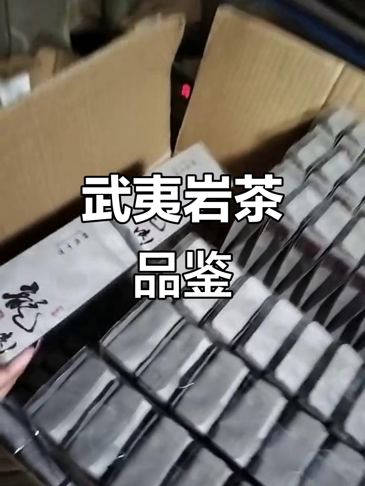 武夷岩茶肉桂与大红袍的邂逅,江边初见好兄弟