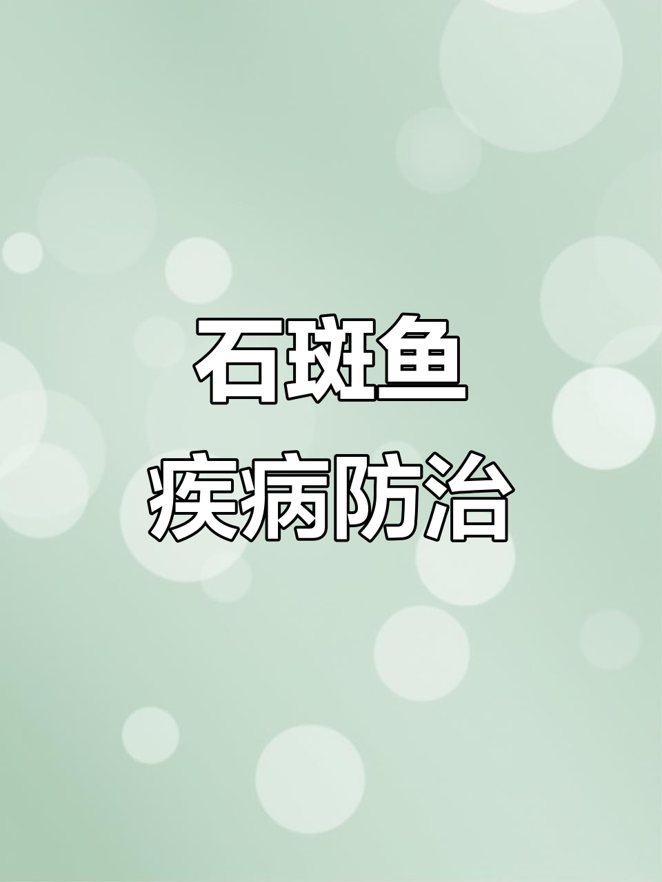 石斑鱼养殖技术:如何应对常见病害