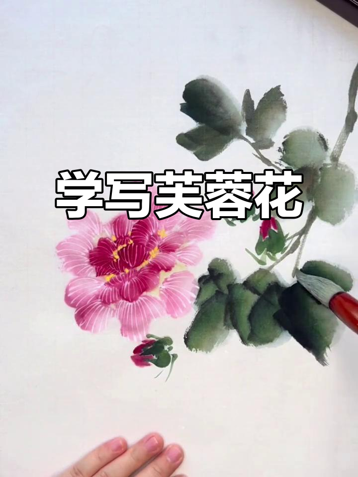写意芙蓉花画法全解析，轻松掌握国画技巧