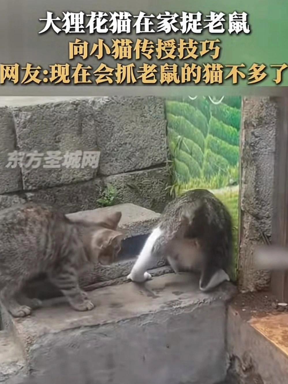 质凡 汤头超浓郁,面也很筋道 方便面 速食美食 妈呀太香了