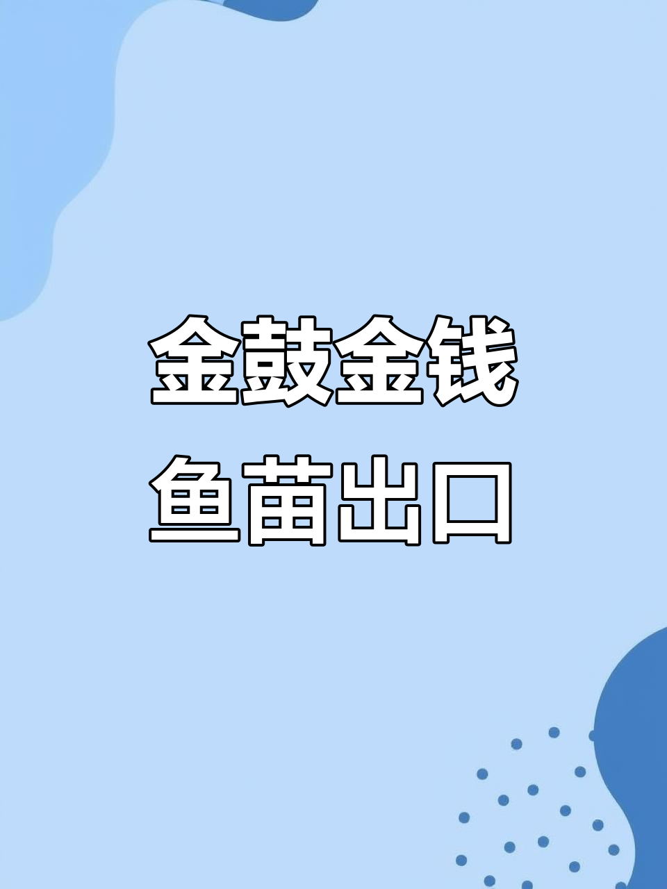 海水鱼苗出口，阳江市渔乡子科技助力金鼓与金钱鱼的养殖