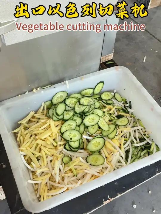 各种蔬菜都能切的多功能切菜机出口以色列