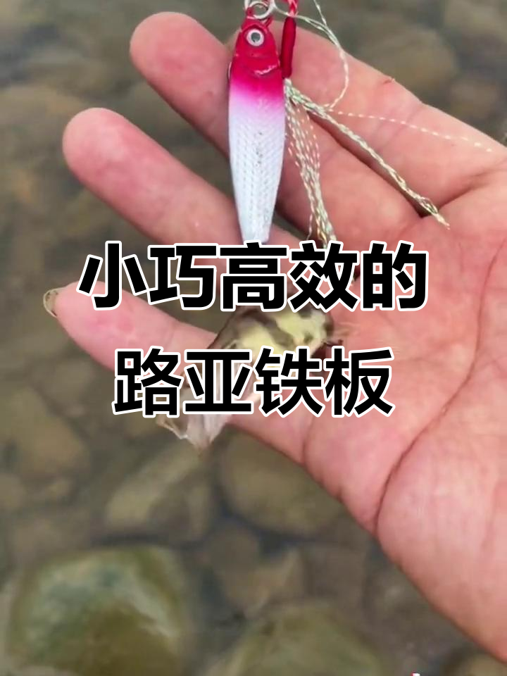 拇指铁板微物路亚,轻松抛投远上鱼率高