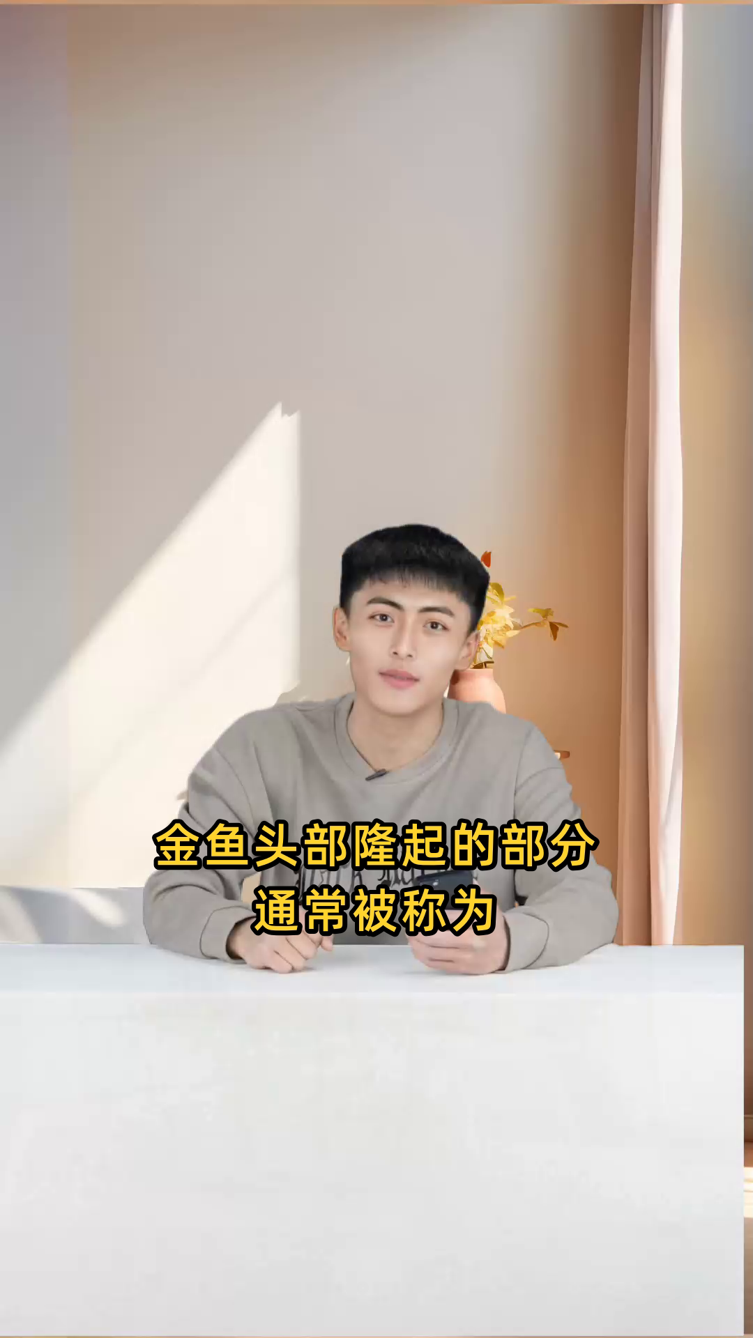 金鱼头部所长出的那个鼓起的包通常被称作什么?
