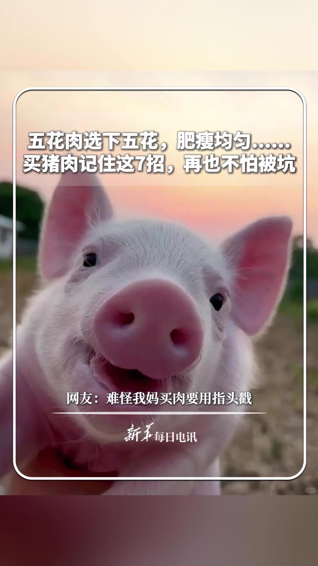 每日分享|五花肉选下五花,肥瘦均匀……买猪肉记住这7招,再也不怕被坑。网友:难怪我妈买肉要