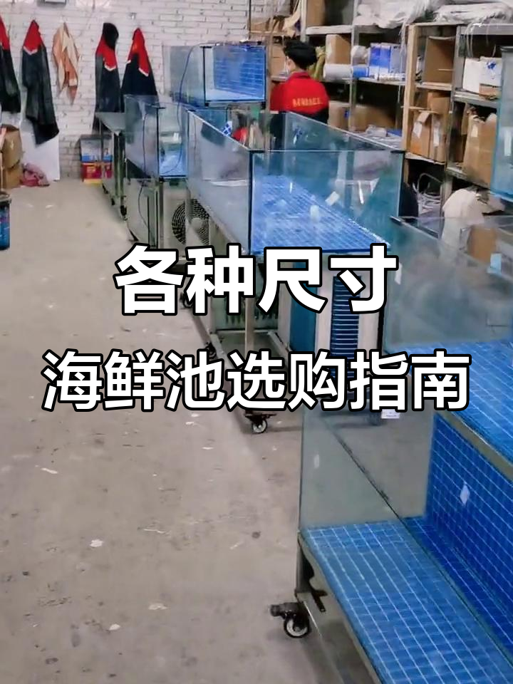 小型海鲜池、中型鱼缸,大型贝类养殖设备全解析