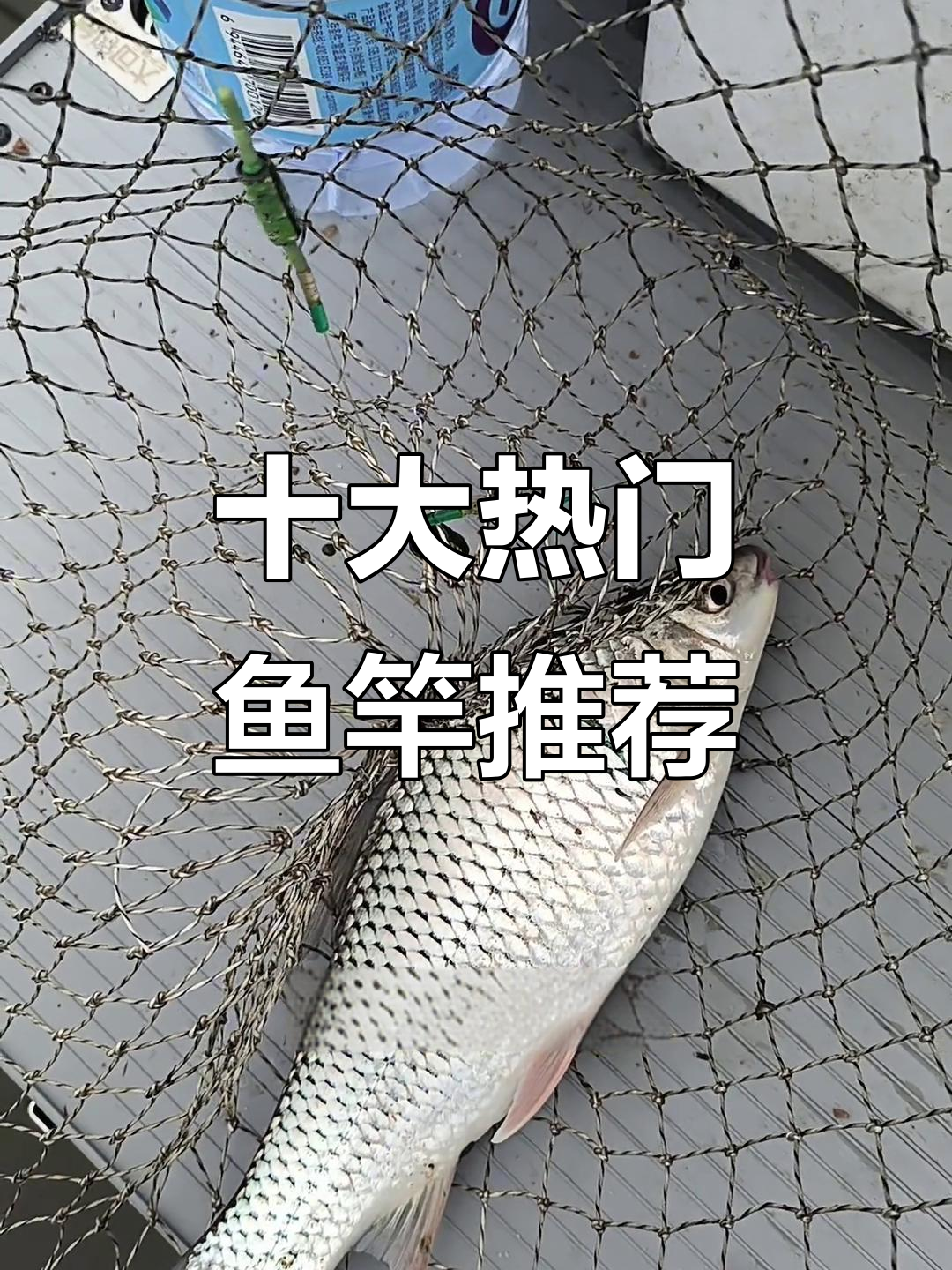 十大鱼竿品牌排名，哪款最适合你？