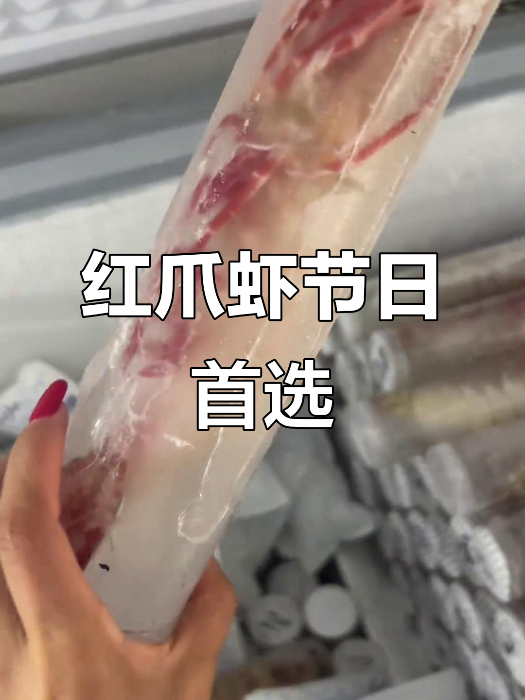 野生红爪虾,春节送礼或宴请必备,鲜美十足