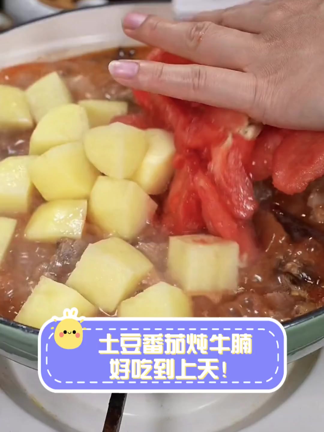 土豆番茄炖牛腩,好吃到上天!