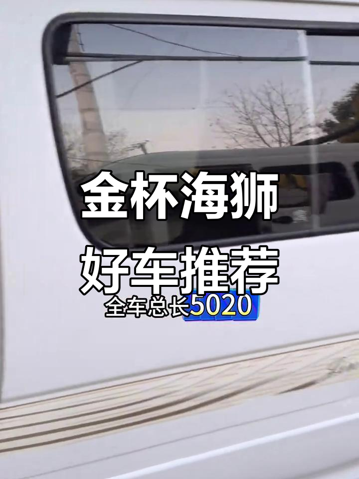 2014年金杯海狮,空调助力,尾灯豪华,年审保险至明年