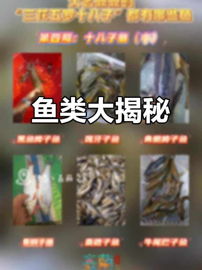 “三花五罗”全解析，十八子鱼揭秘！