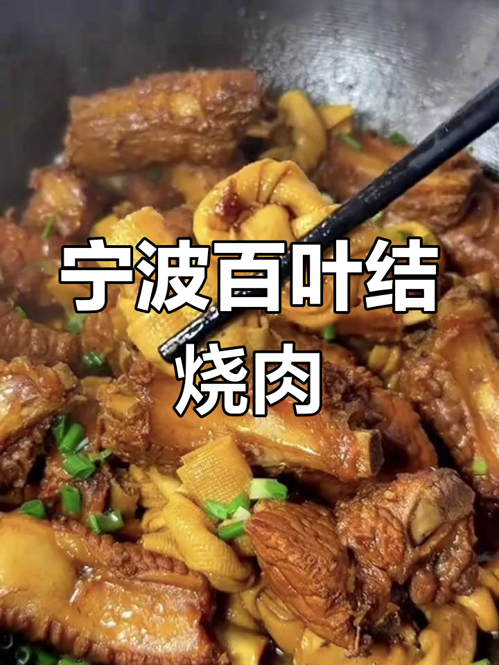 宁波特产百叶结,吸满红烧肉汤汁,豆香浓郁让人停不下来