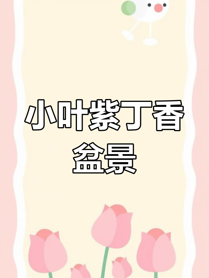 古色丁香小盆景,香气扑鼻如薰衣草