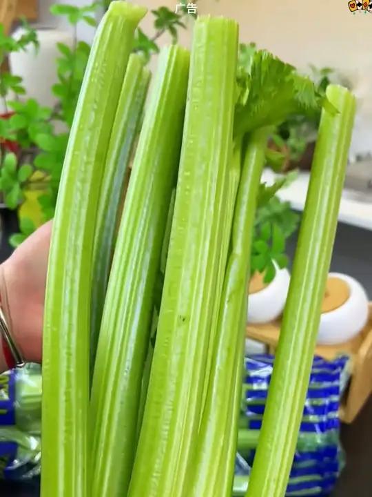 品种产地不一样长出来的西芹口感差别太大了!一定买水果西芹!好物推荐西芹水果蔬菜好吃不贵经济