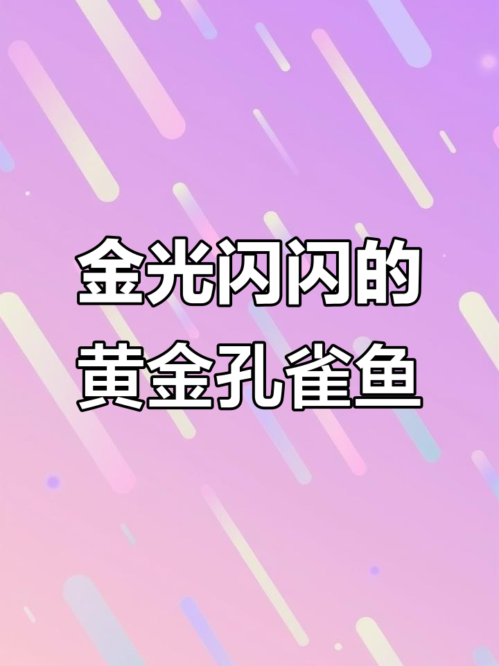 黄金孔雀鱼:满鳞金光,超易养!