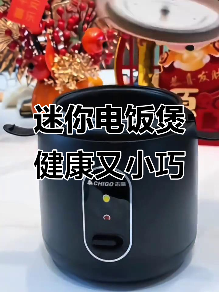 小巧电饭煲,轻松烹饪美味炖汤与养生粥