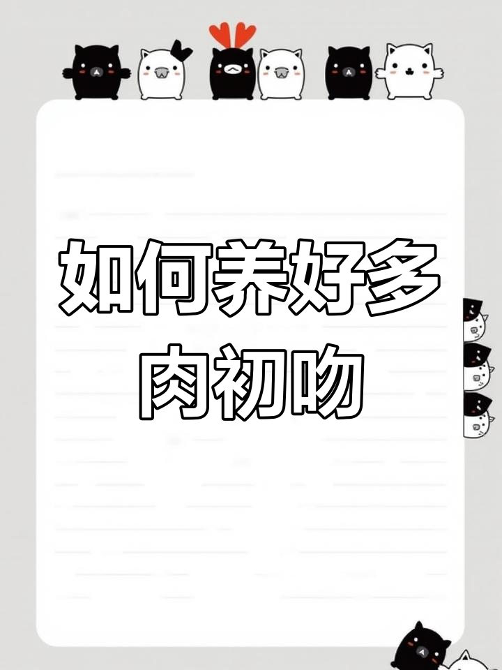 初吻多肉春秋养护全攻略,轻松掌握浇水技巧
