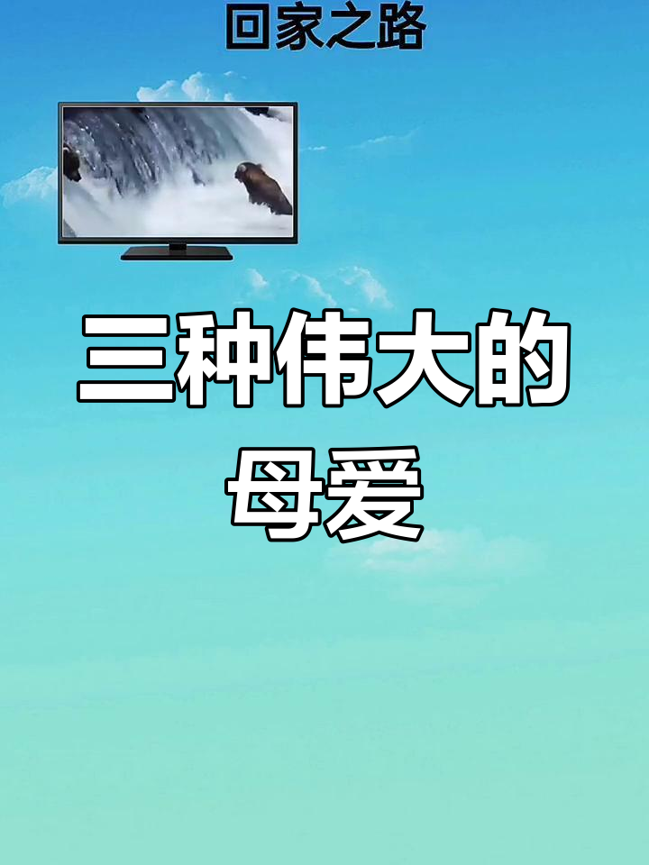 母爱的三种伟大方式:大马哈鱼、微山虎与鲑鱼的感人故事