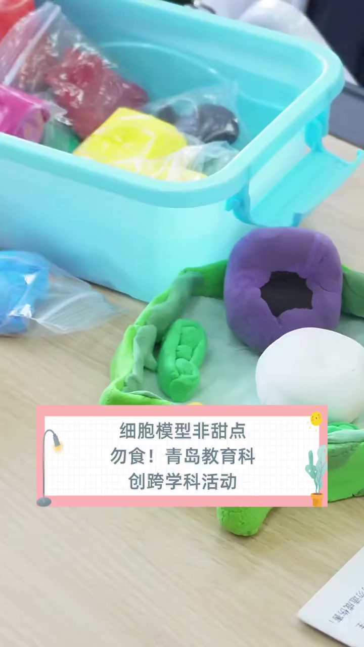 细胞模型非甜点,勿食!青岛教育科创跨学科活动