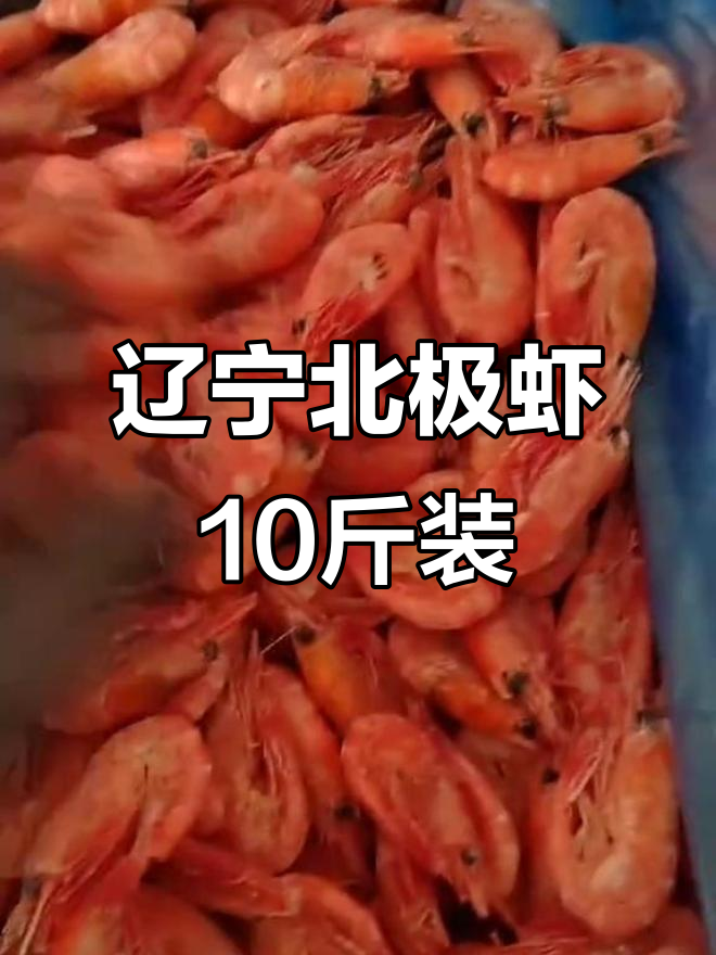 辽宁北极虾,10斤原箱豪华版,超值价格不容错过