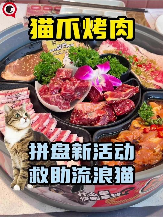 探店猫爪烤肉,拼盘新活动,救助流浪猫