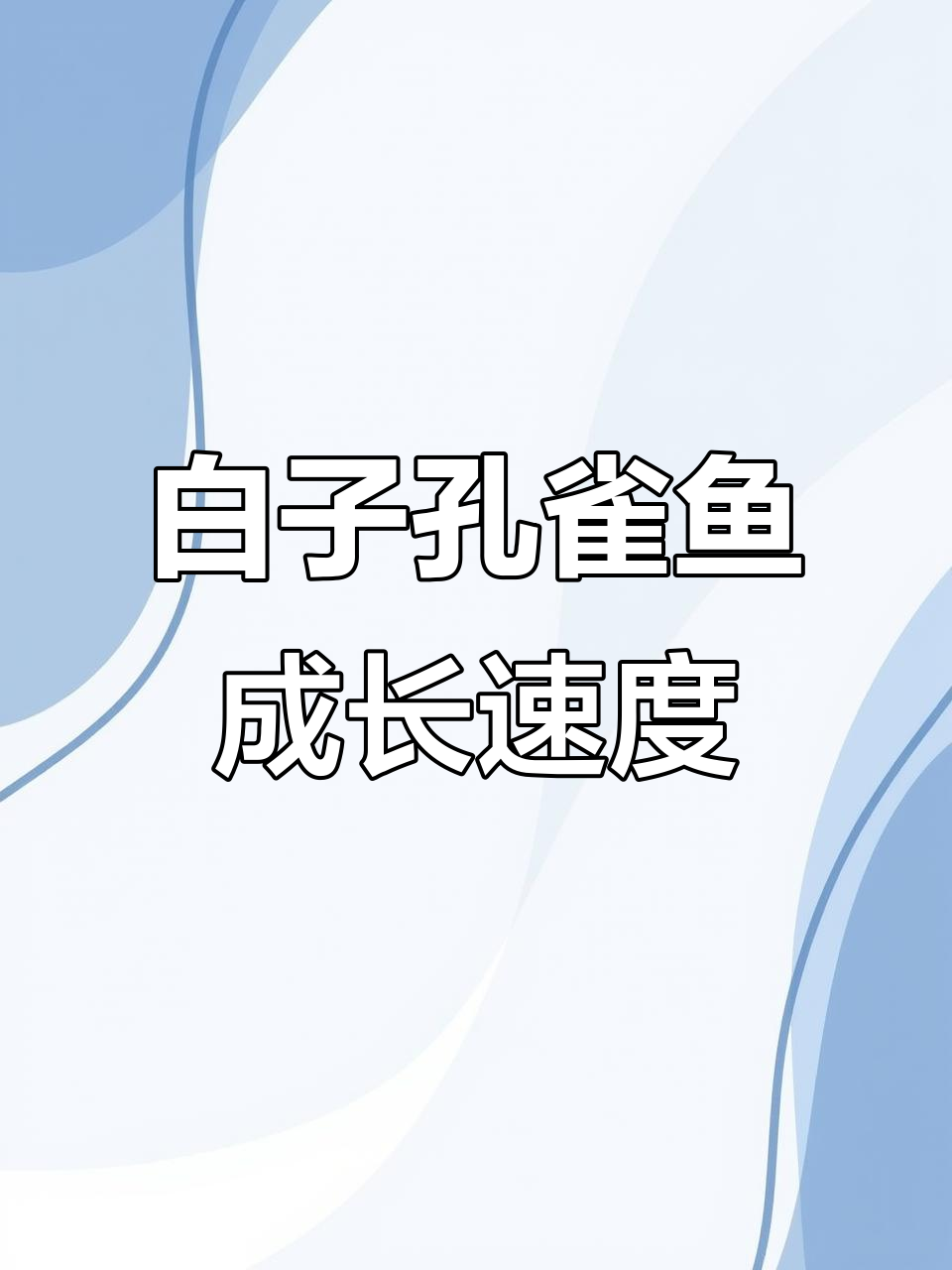 白子孔雀鱼发育并不慢,真相大揭秘