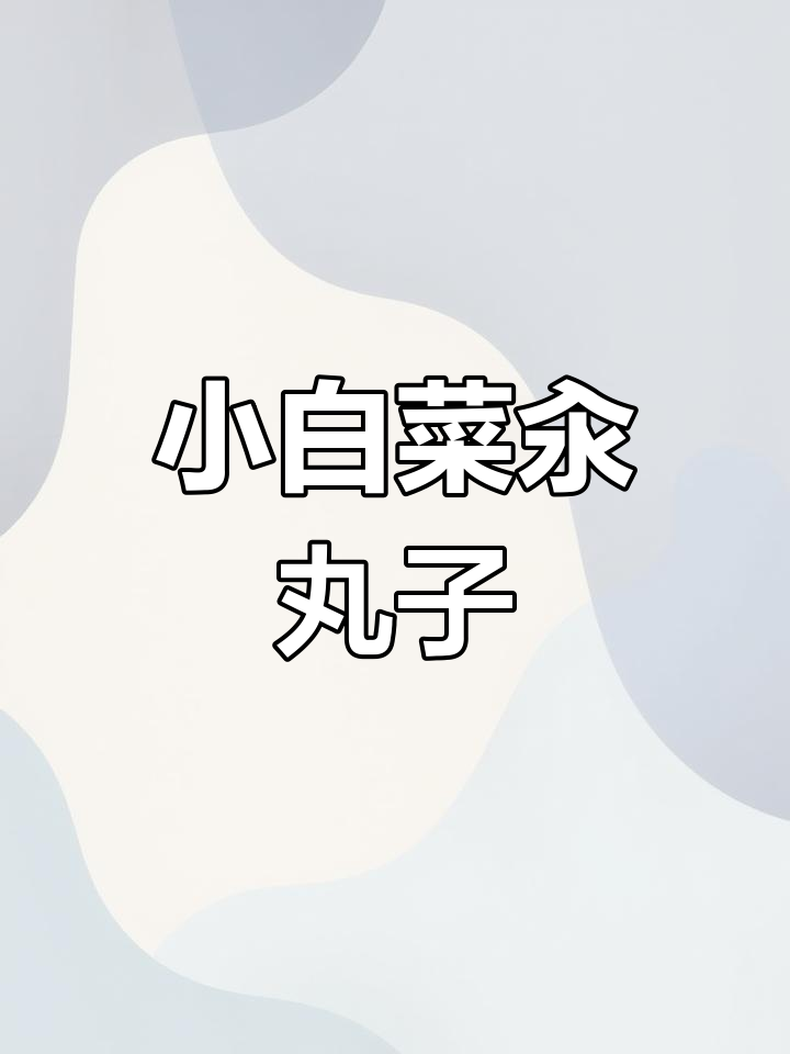 轻松学会做丸子汤